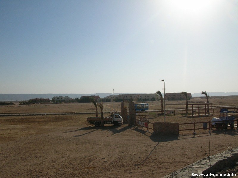 Yalla Horse Stables El Gouna 1027