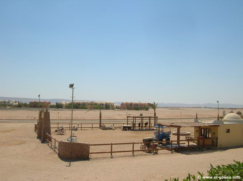 Yalla Horse Stables 8676