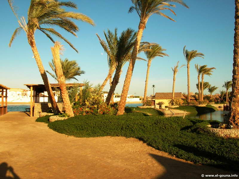 Hotel Panorama Bungalows Resort  El Gouna 3650