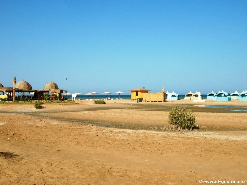 Mangroovy Beach  El Gouna 1191