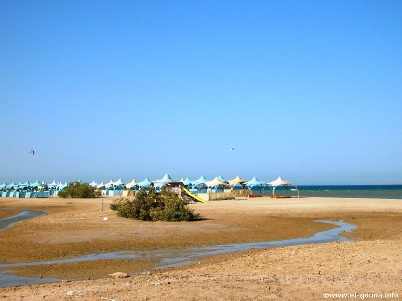 Mangroovy Beach  El Gouna 1193