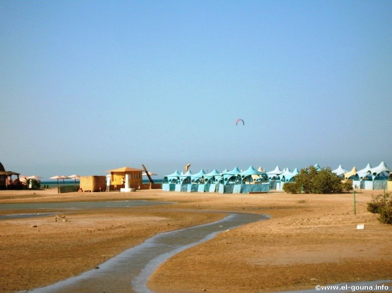 Mangroovy Beach  El Gouna 1194