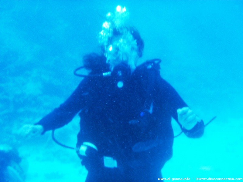The Dive Connection  El Gouna 0054