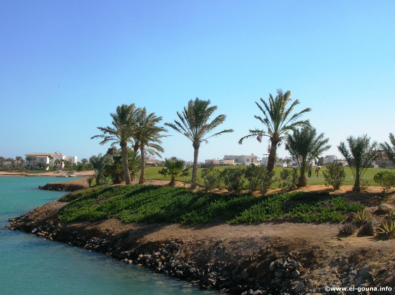 El Gouna Golf Club 7018