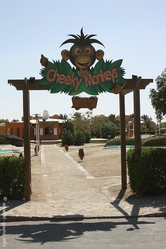 Cheeky Monkeys 0427