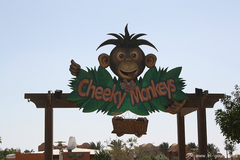 Cheeky Monkeys 0428