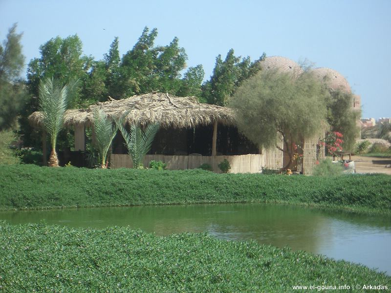 El Gouna Fischfarm 0729