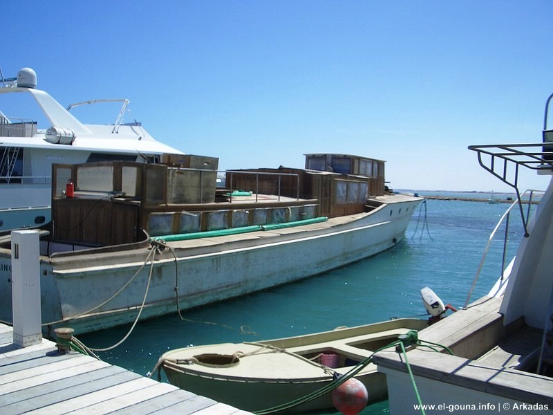 Motoryacht Carin II G1004