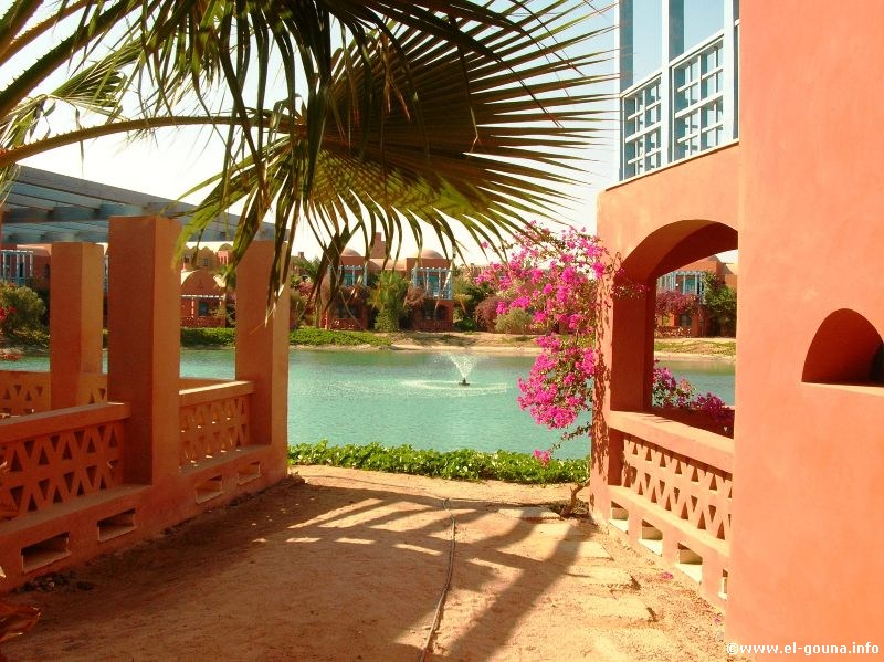 Hotel Sheraton Miramar Resort  El Gouna 3511