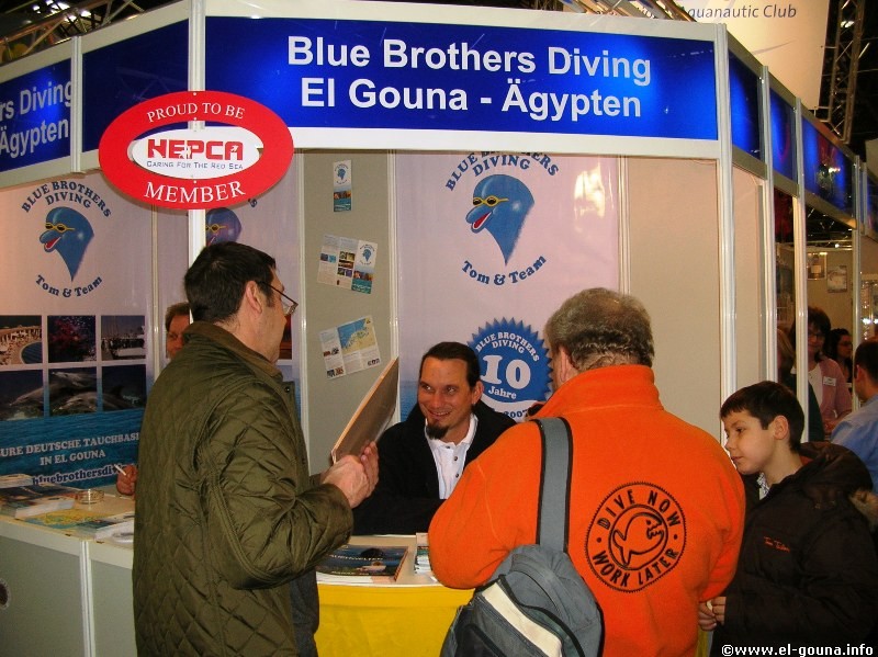 Blue-Brothers-Diving-3931