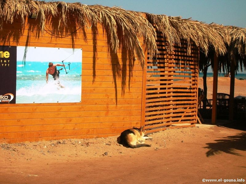 Red Sea Zone Kiteboarding Center 2879