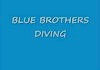 Blue Brothers Diving-Video